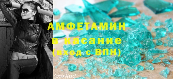 стаф Кедровый