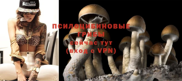 ГАЛЛЮЦИНОГЕННЫЕ ГРИБЫ Киреевск